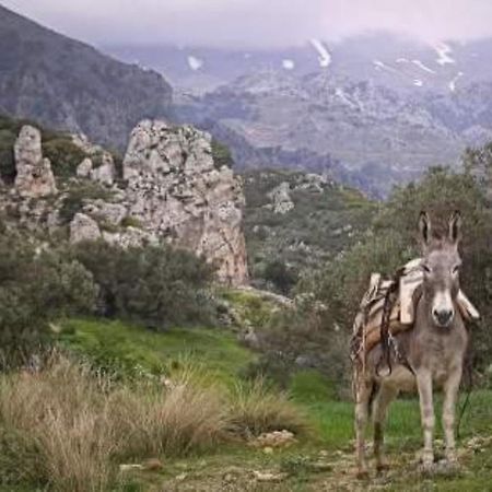 Traditional Cretan House Lithostrati Karidi Village Buitenkant foto