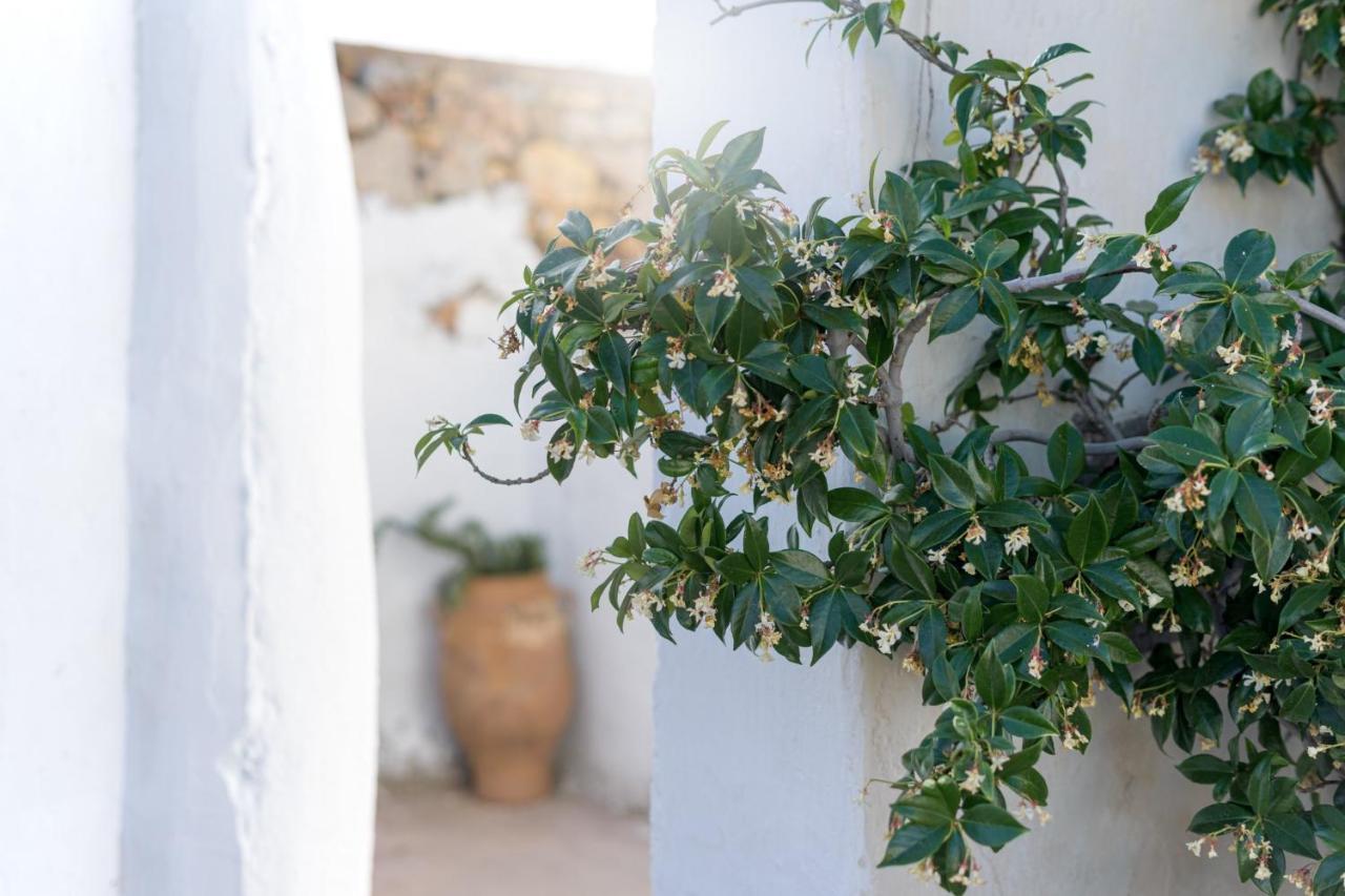 Traditional Cretan House Lithostrati Karidi Village Buitenkant foto
