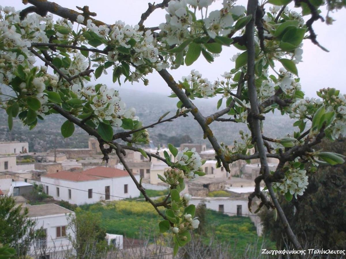 Traditional Cretan House Lithostrati Karidi Village Buitenkant foto