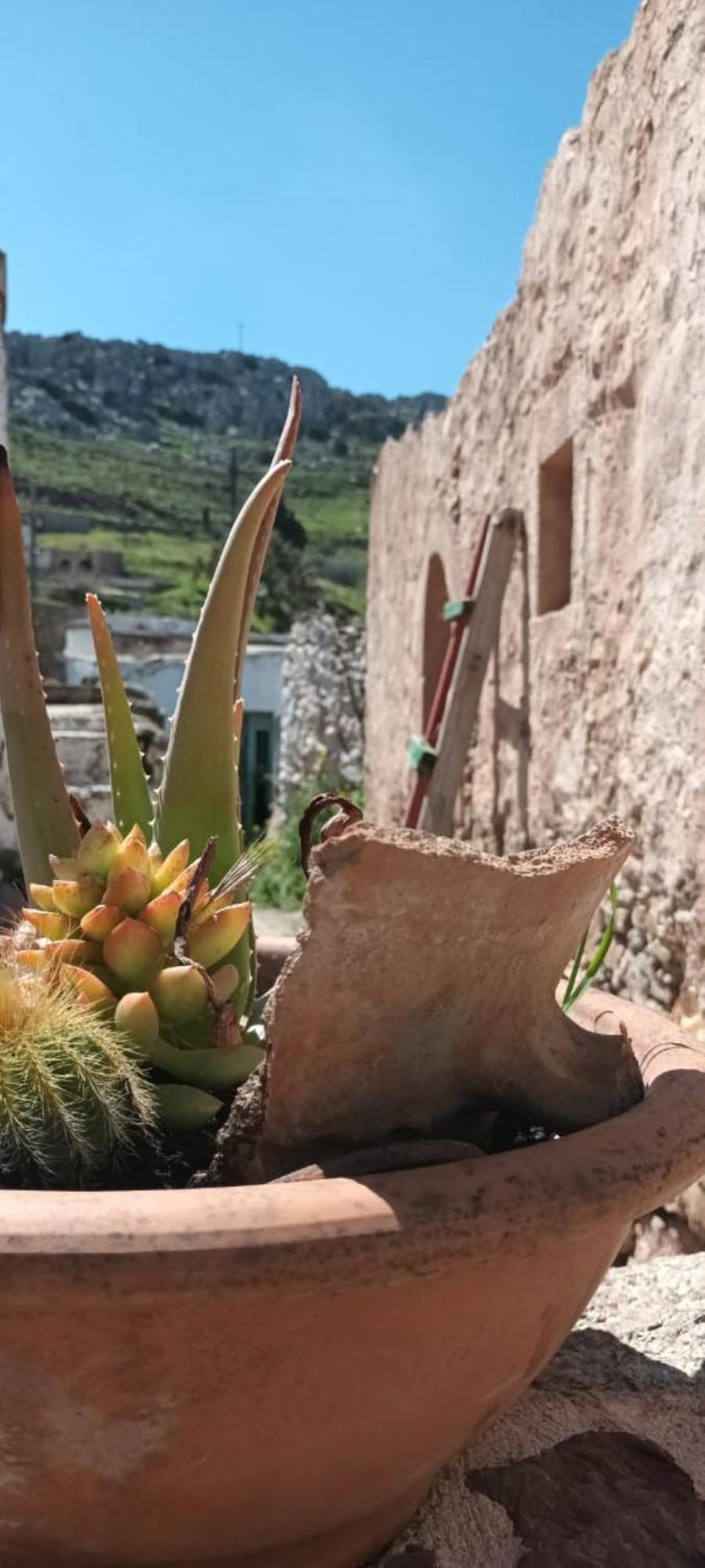 Traditional Cretan House Lithostrati Karidi Village Buitenkant foto