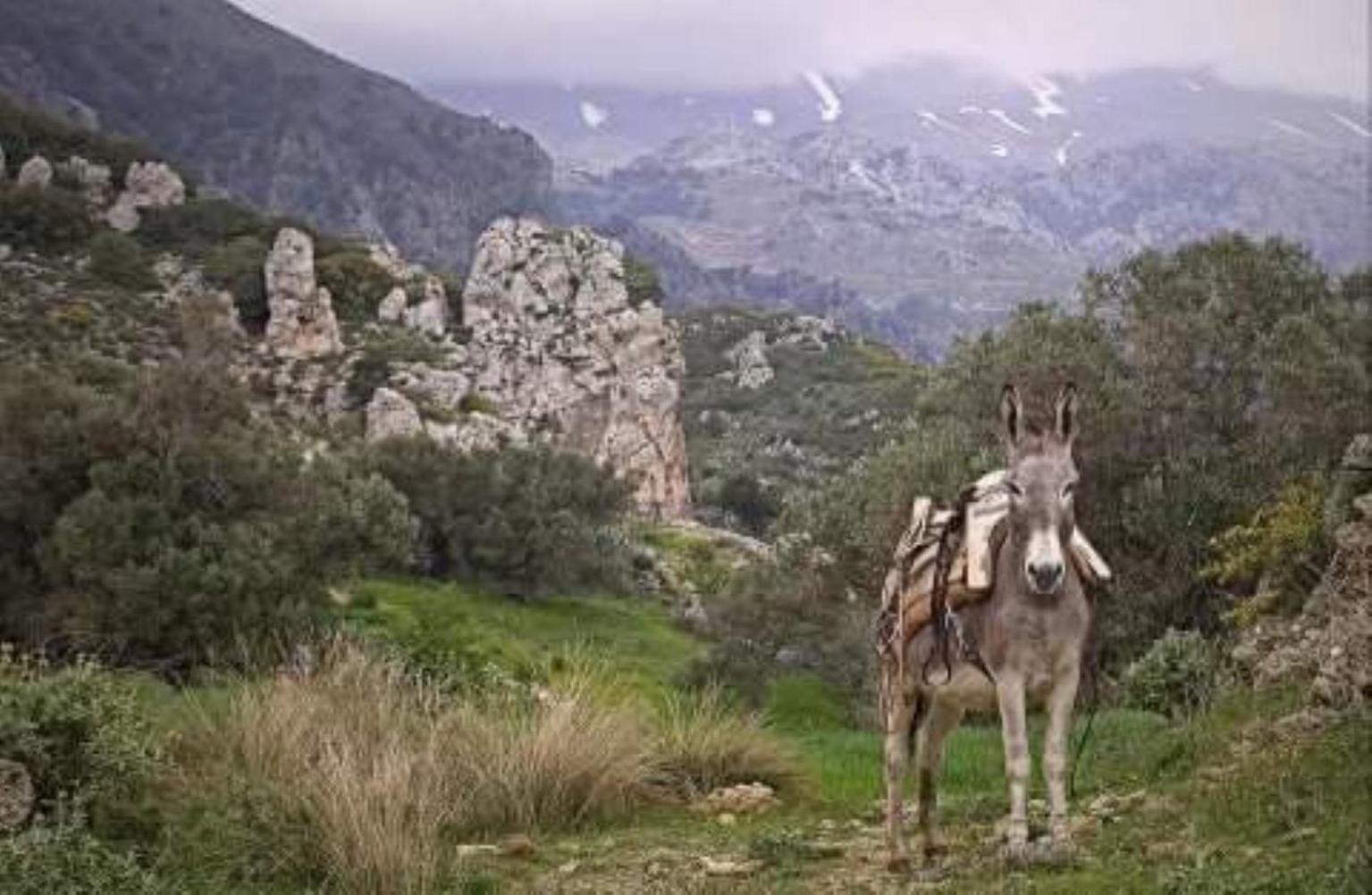 Traditional Cretan House Lithostrati Karidi Village Buitenkant foto
